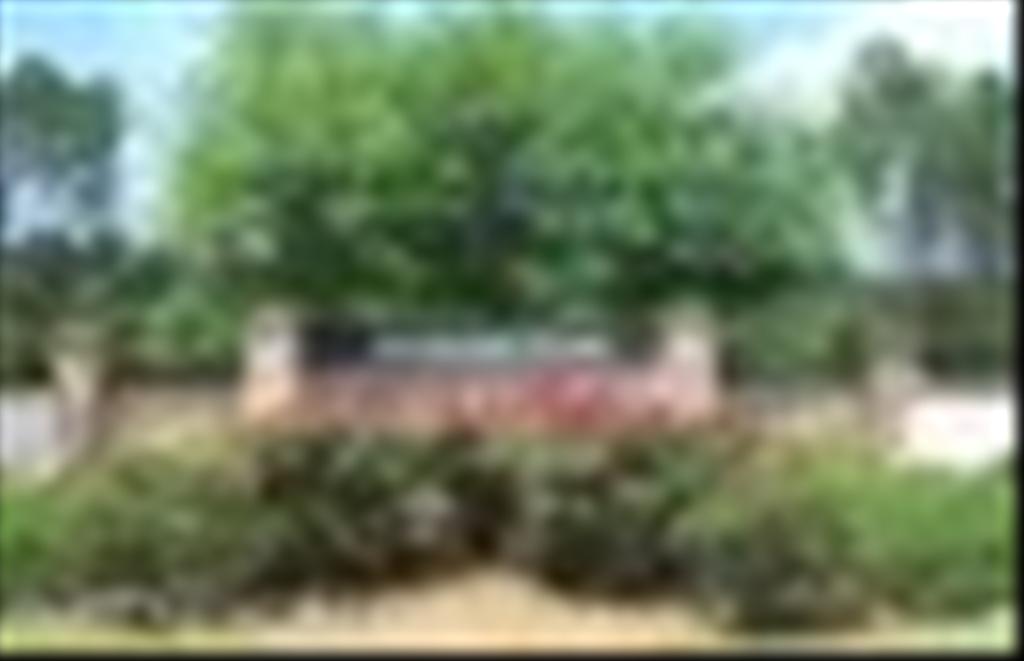 216 Belmont Drive, Saint Johns, FL 32259